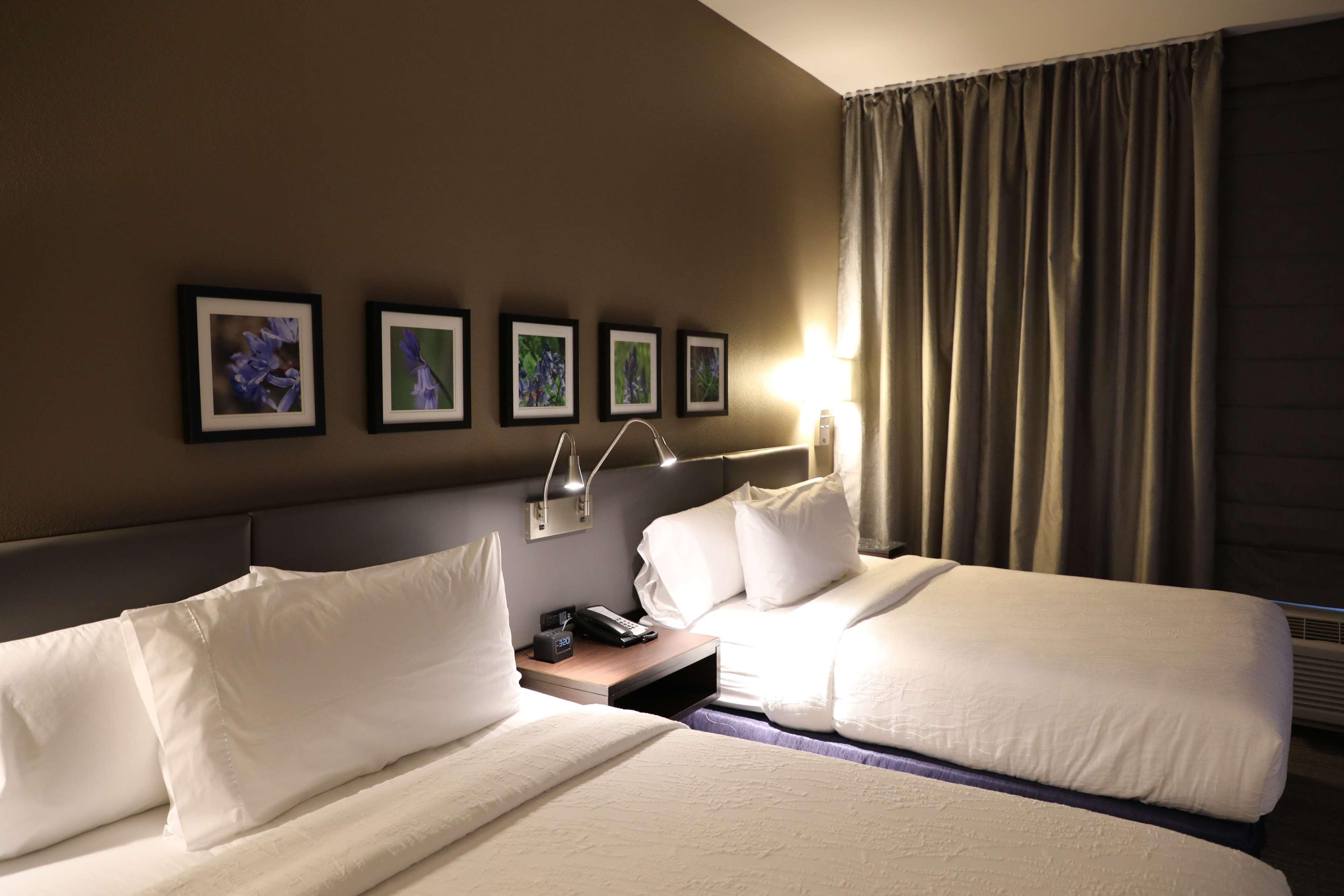 Hilton Garden Inn Austin Airport Екстериор снимка