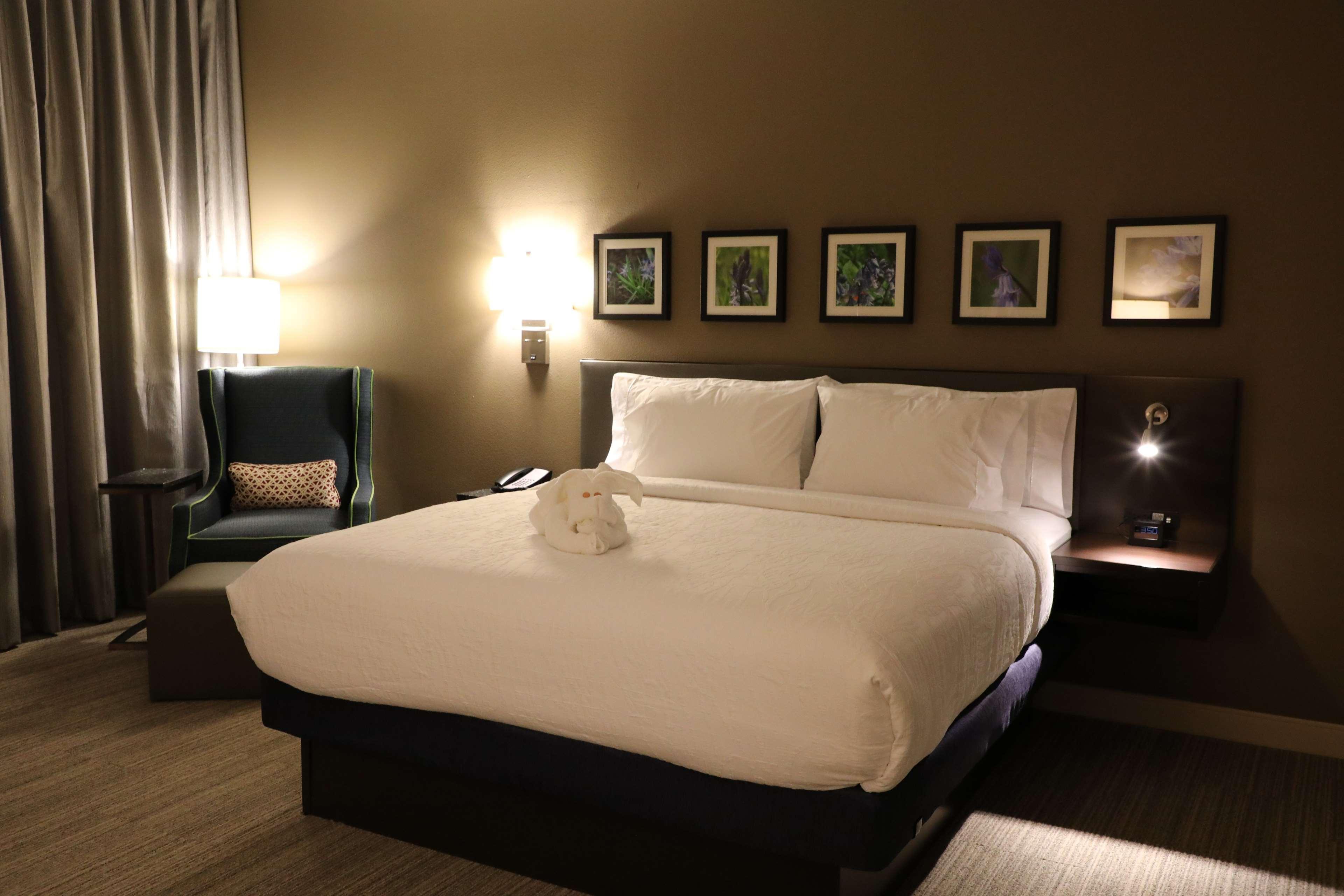 Hilton Garden Inn Austin Airport Екстериор снимка